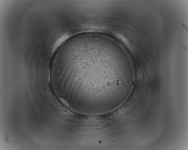 X0000097661267200803071524