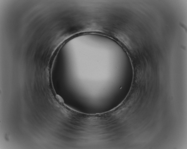 X0000097661268200803071524