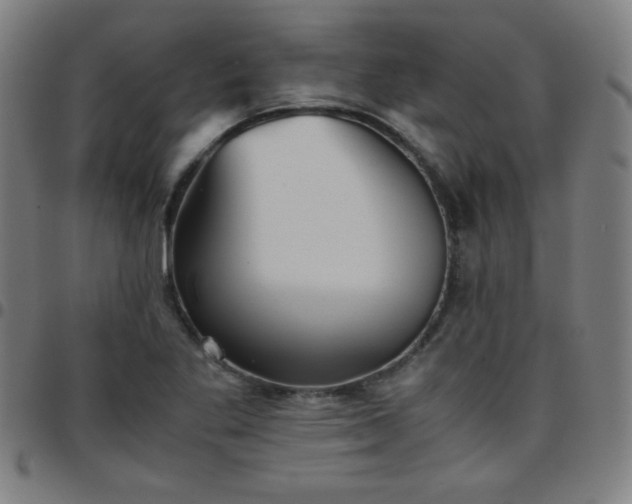 X0000097661269200803071524