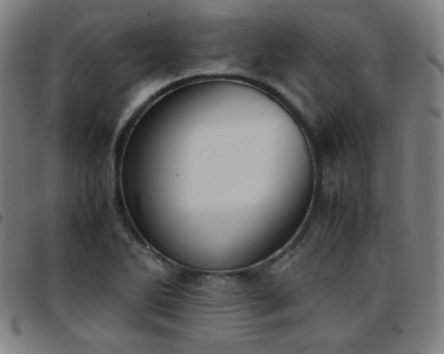 X0000097661270200803071524