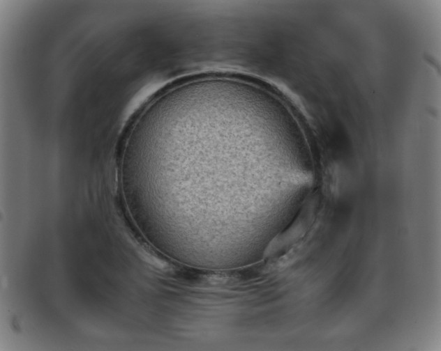 X0000097661271200803071524
