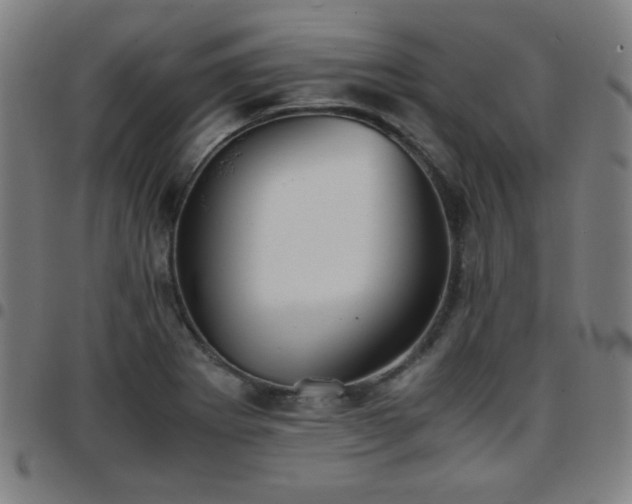 X0000097661273200803071524