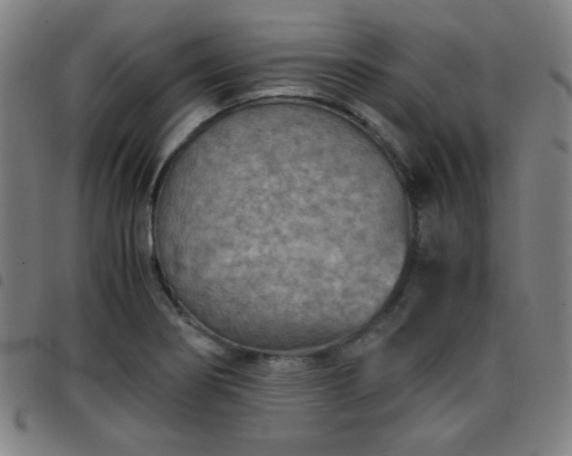 X0000097661274200803071524