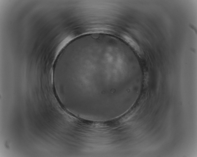 X0000097661275200803071524