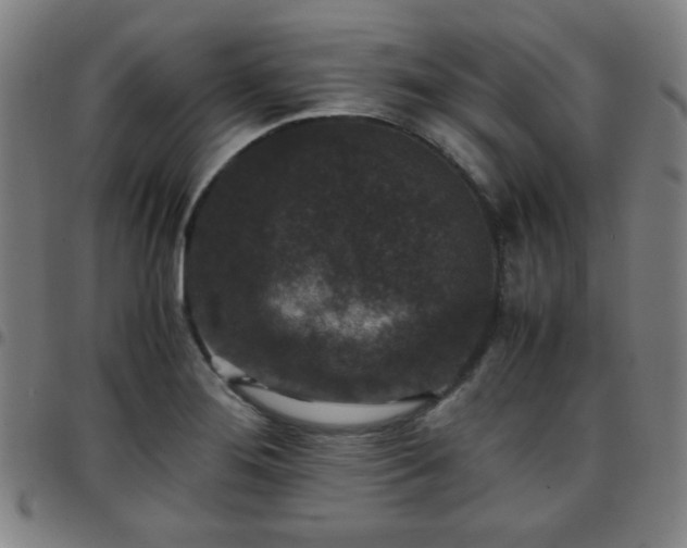 X0000097661276200803071524