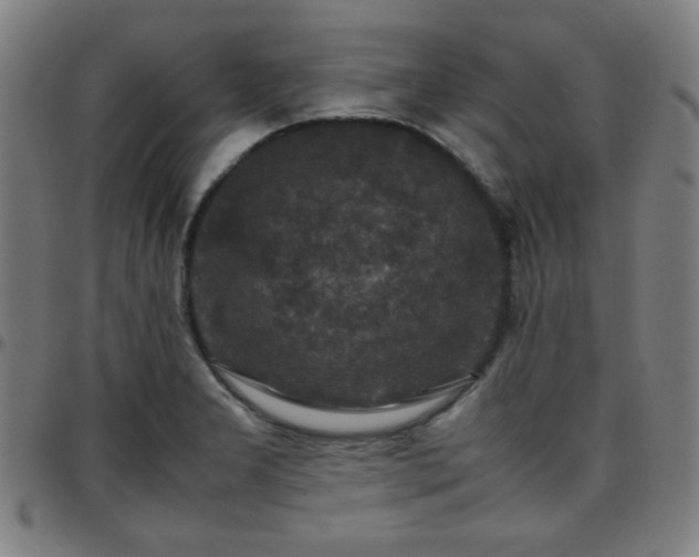 X0000097661277200803071524