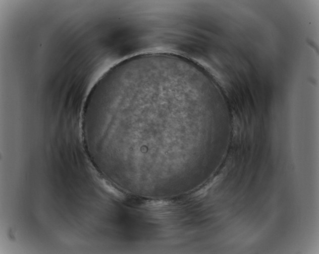 X0000097661278200803071524