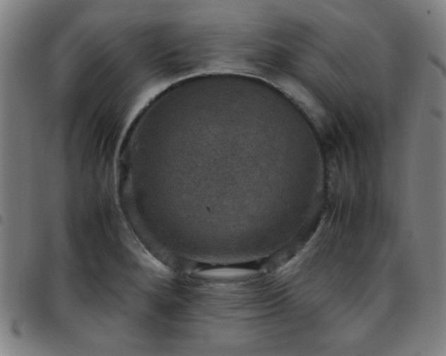 X0000097661280200803071524