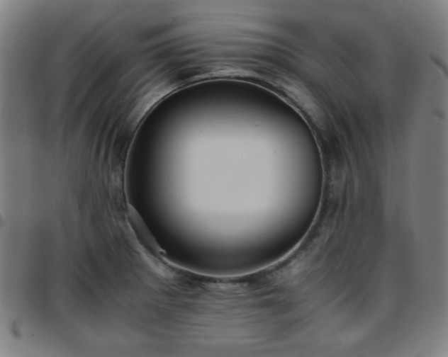 X0000097661281200803071524
