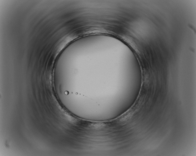 X0000097661282200803071524