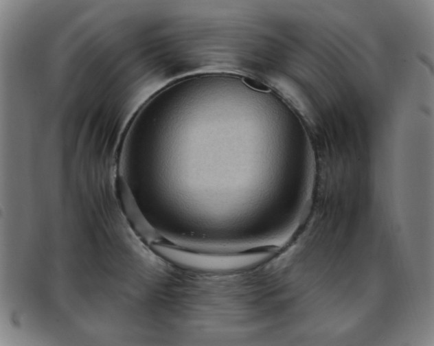 X0000097661284200803071524