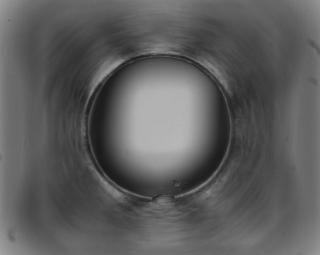 X0000097661285200803071524
