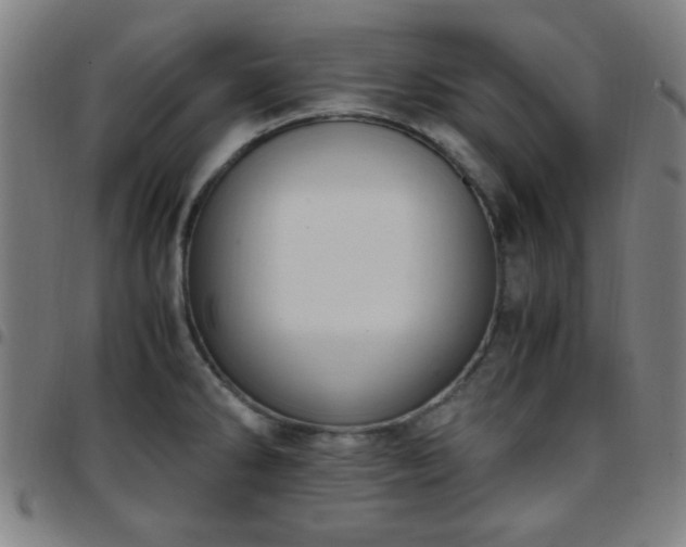 X0000097661286200803071524