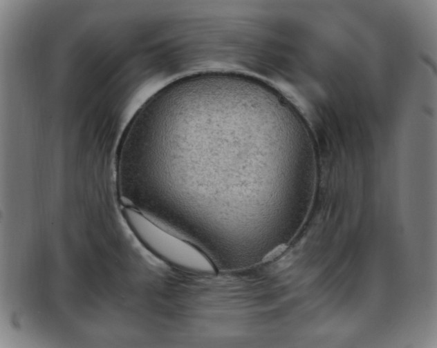 X0000097661287200803071523