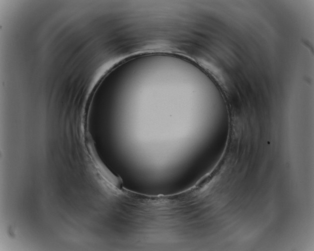 X0000097661288200803071523