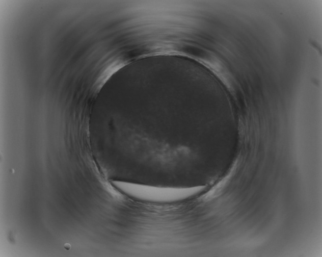 X0000097661289200803071523