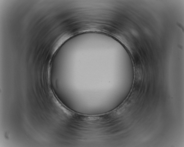 X0000097661290200803071523