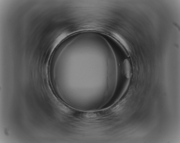 X0000097661291200803071523