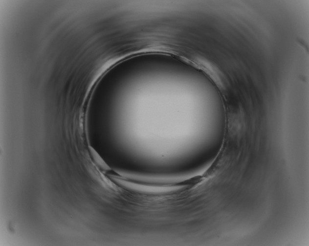 X0000097661292200803071523