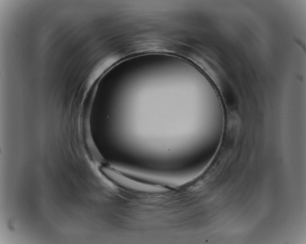 X0000097661293200803071523