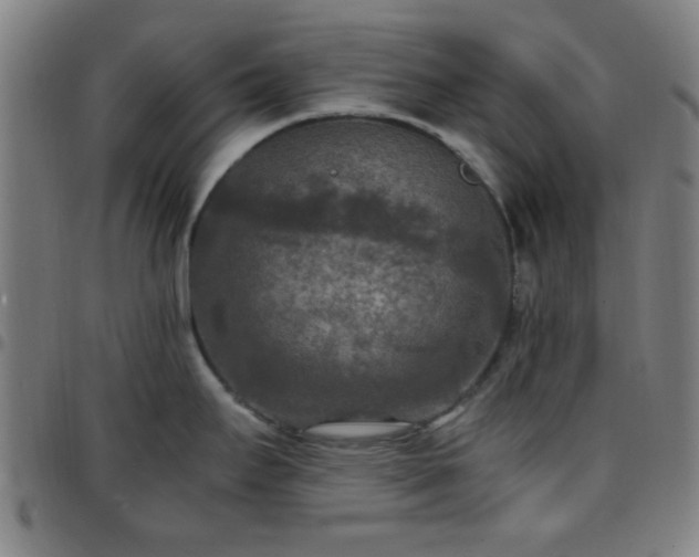 X0000097661295200803071523