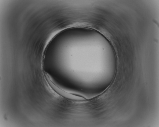 X0000097661296200803071523