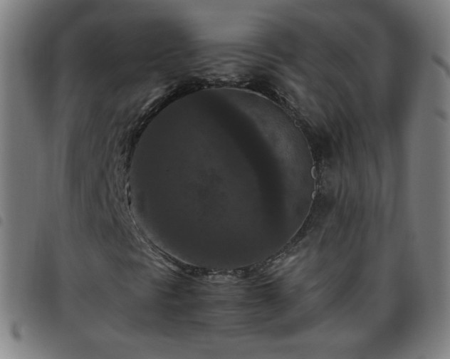 X0000097661297200803071523