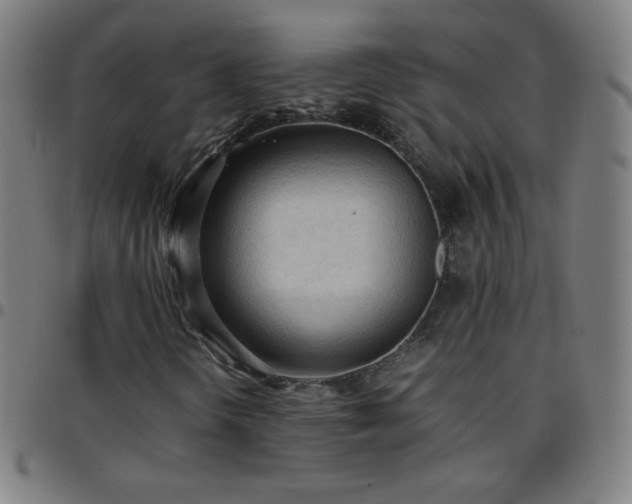 X0000097661298200803071523