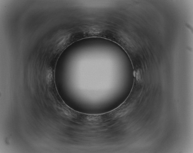 X0000097661299200803071523