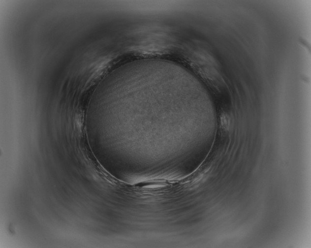 X0000097661300200803071523