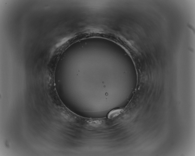 X0000097661303200803071523