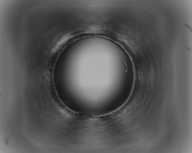 X0000097661304200803071523