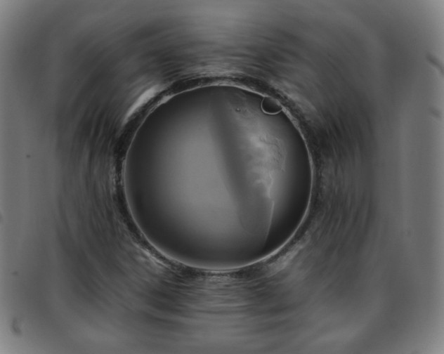 X0000097661306200803071523