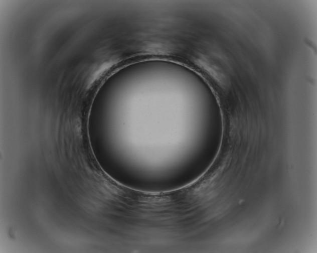 X0000097661307200803071523