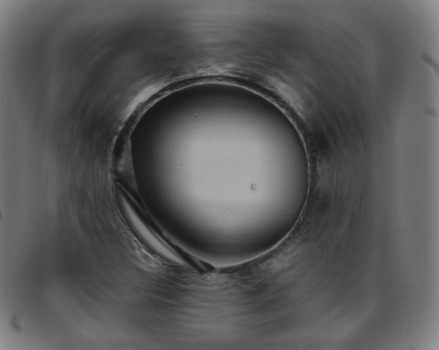 X0000097661308200803071523