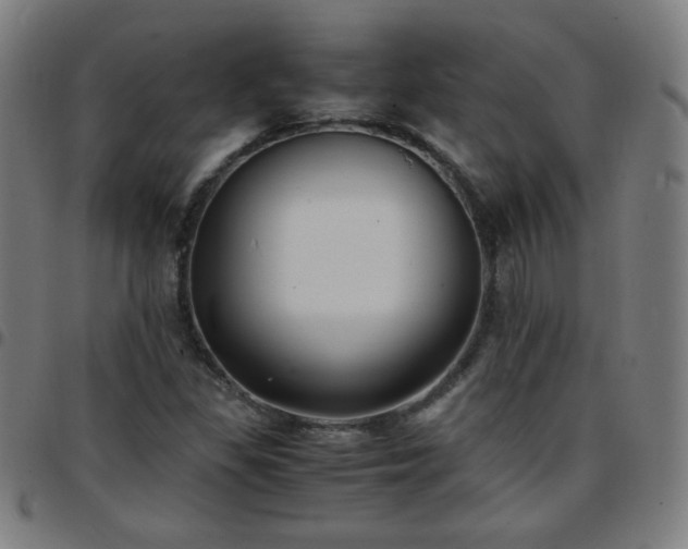 X0000097661309200803071523