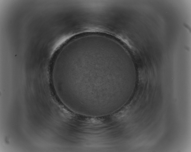 X0000097661311200803071523