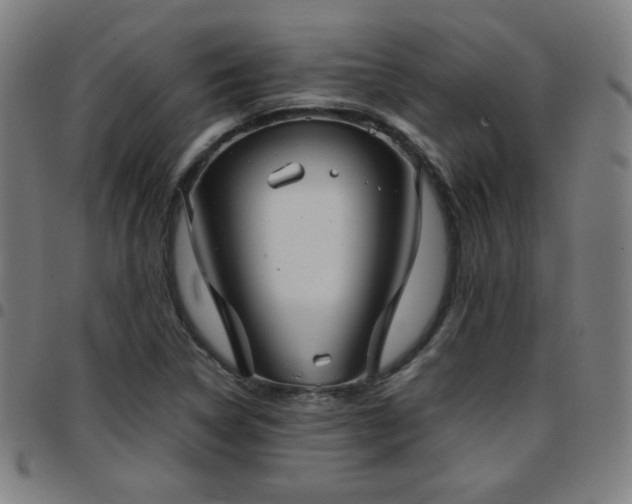X0000097661314200803071523