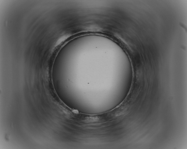 X0000097661315200803071523