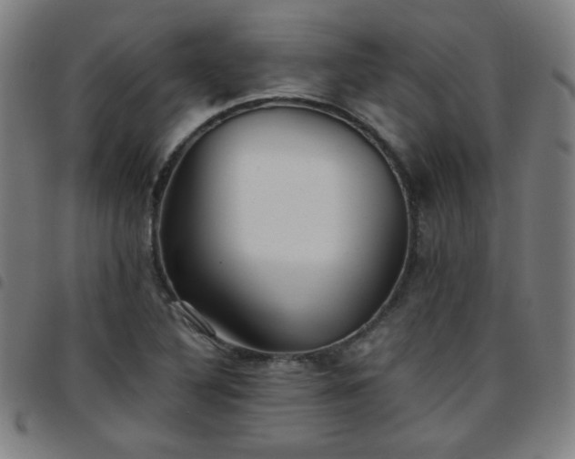 X0000097661316200803071523