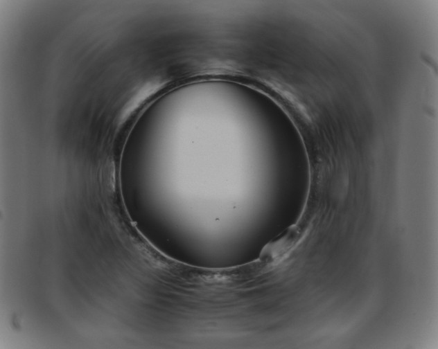 X0000097661317200803071523