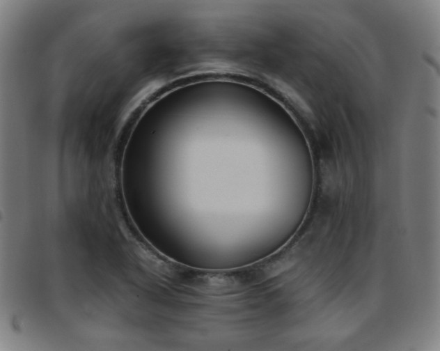 X0000097661318200803071523