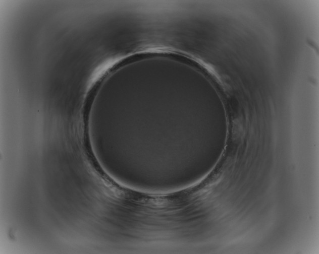 X0000097661319200803071523