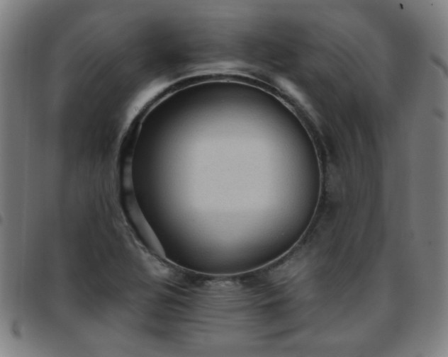 X0000097661320200803071523