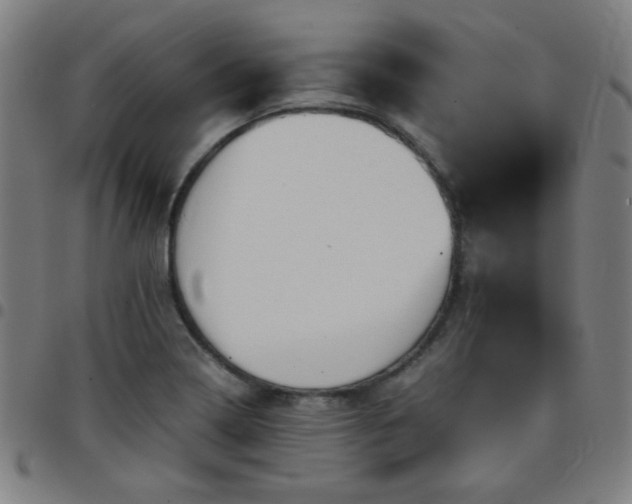 X0000097661322200803071523