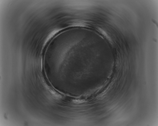 X0000097661323200803071523