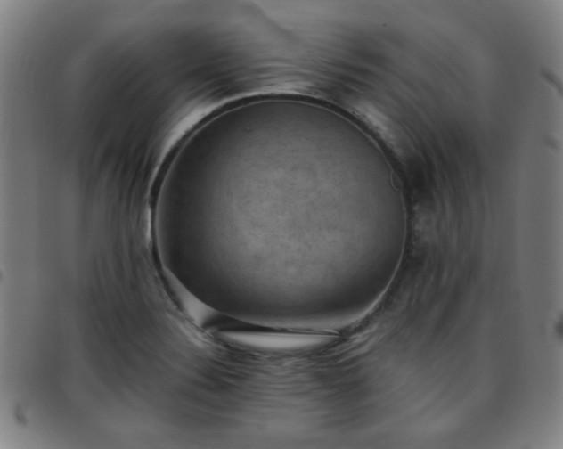 X0000097661324200803071523