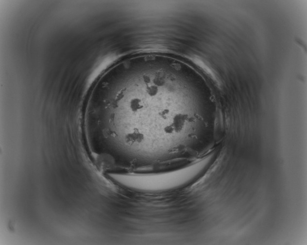 X0000097661325200803071523