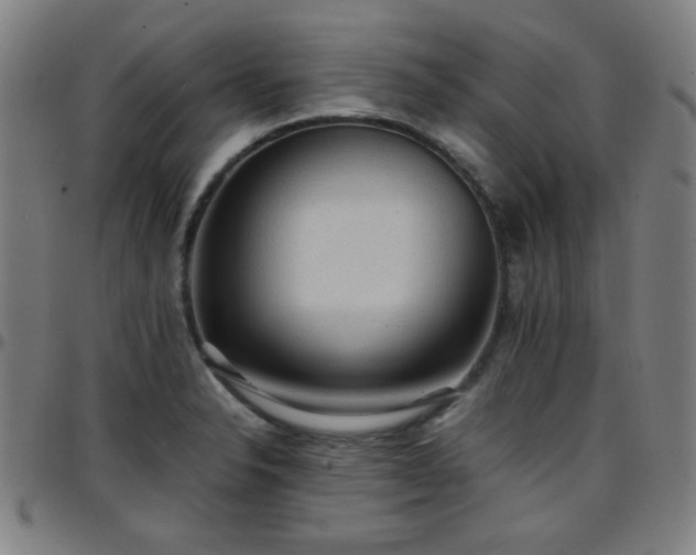 X0000097661326200803071523