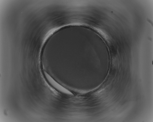 X0000097661327200803071523